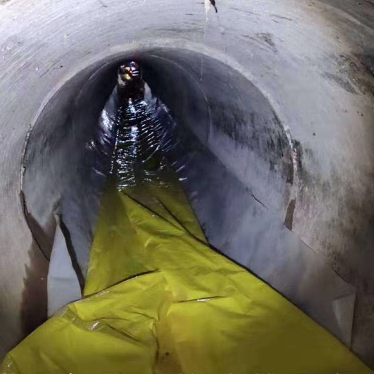 苏仙管道光固化修复